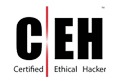 Certified Ethical Hacker services
