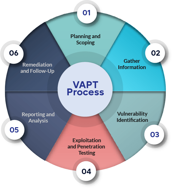 The VAPT Process