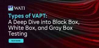 Types of VAPT: A Deep Dive into Black Box, White Box, and Gray Box Testing